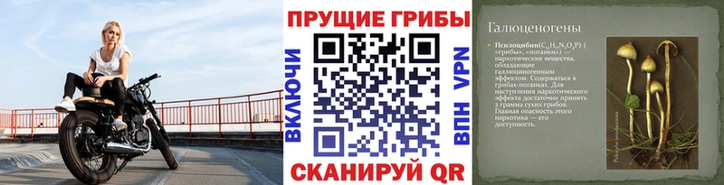 Галлюциногенные грибы Cubensis  Старый Крым 